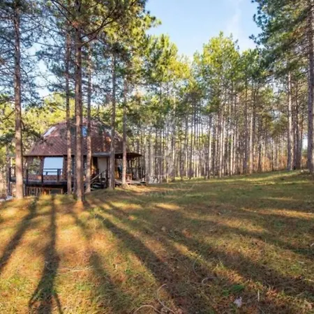 Cozy With Forest View & Bath - 10min Drive To Black Sea Apartman Várna