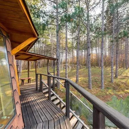 Cozy With Forest View & Bath - 10min Drive To Black Sea Appartement *