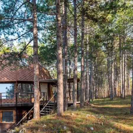 Apartman Cozy With Forest View & Bath - 10min Drive To Black Sea