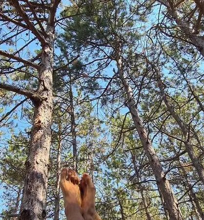 Apartman Cozy With Forest View & Bath - 10min Drive To Black Sea