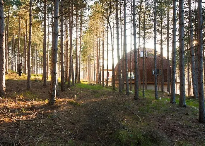 Cozy With Forest View & Bath - 10min Drive To Black Sea *