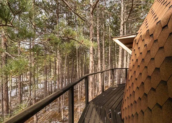 Cozy With Forest View & Bath - 10min Drive To Black Sea