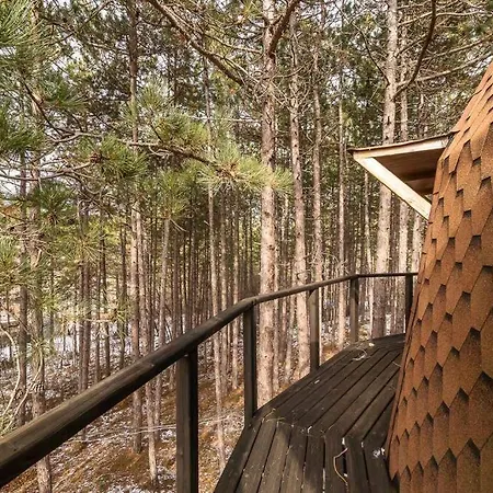 Cozy With Forest View & Bath - 10min Drive To Black Sea