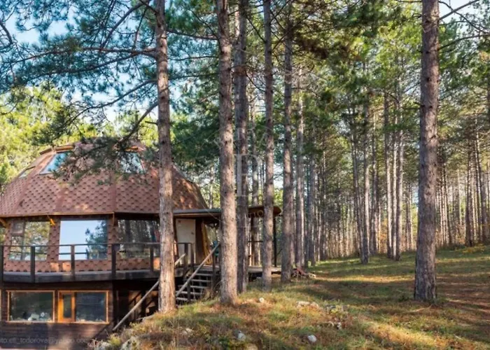 Lejlighed Cozy With Forest View & Bath - 10min Drive To Black Sea