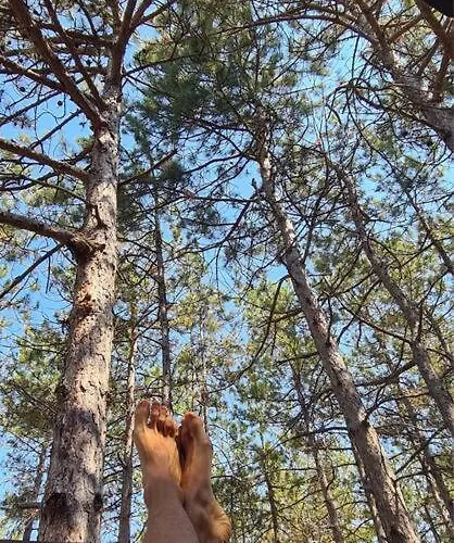 Lejlighed Cozy With Forest View & Bath - 10min Drive To Black Sea