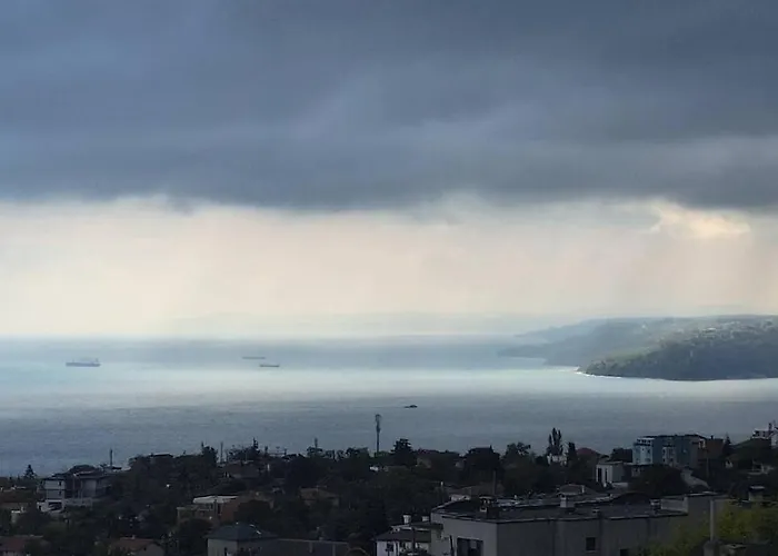 Lejlighed Cozy With Forest View & Bath - 10min Drive To Black Sea